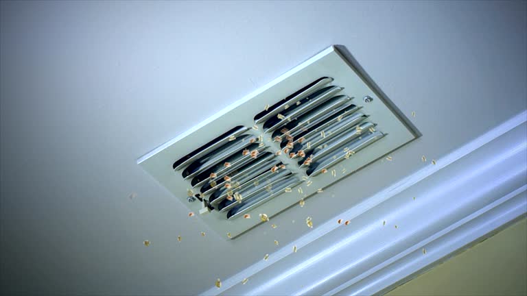 Best Affordable Air Duct Cleaning  in Northlakes, NC