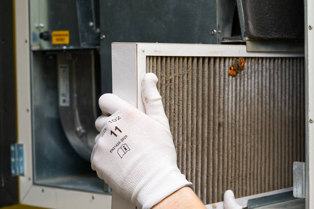 Best Local Air Duct Cleaning Services  in Northlakes, NC