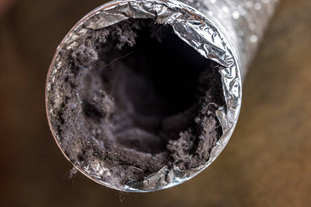 Best Air Duct Cleaning Near Me in Northlakes, NC